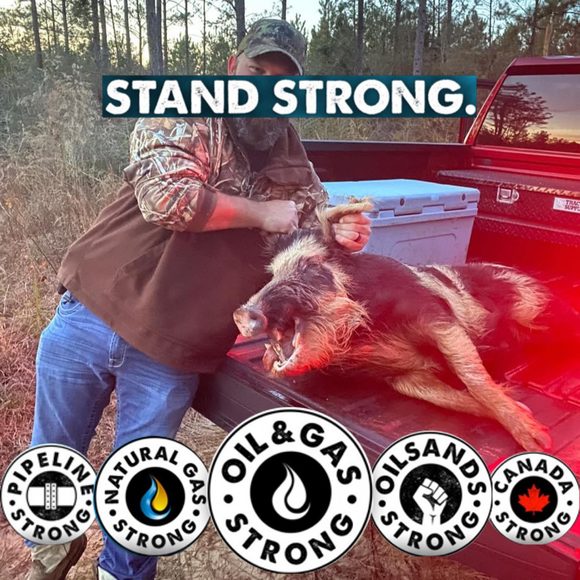 Meet your Posher, Bennett - Picture 1 of 1